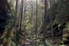 Schindergraben