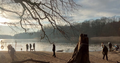 Weihnachtsspaziergang durch den Grunewald