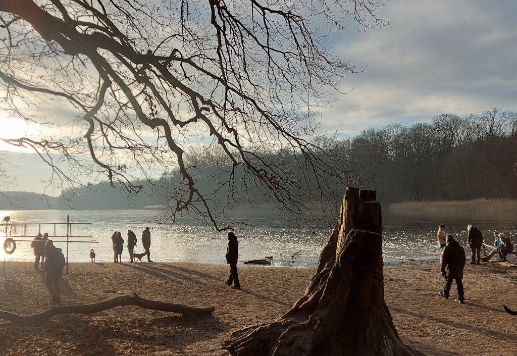 Weihnachtsspaziergang durch den Grunewald
